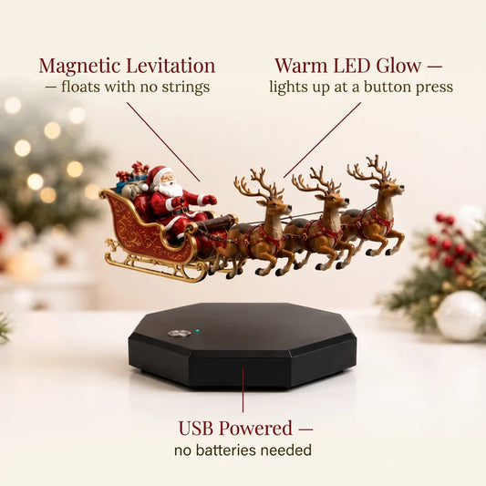 Last day with 50% discount - Santa's flying sleigh